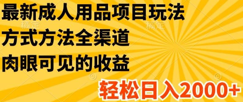 最新成人用品项目玩法，方式方法全渠道，轻松日入2K+【揭秘】-随风资源网