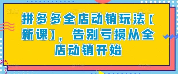 拼多多全店动销玩法【新课】，告别亏损从全店动销开始-随风资源网