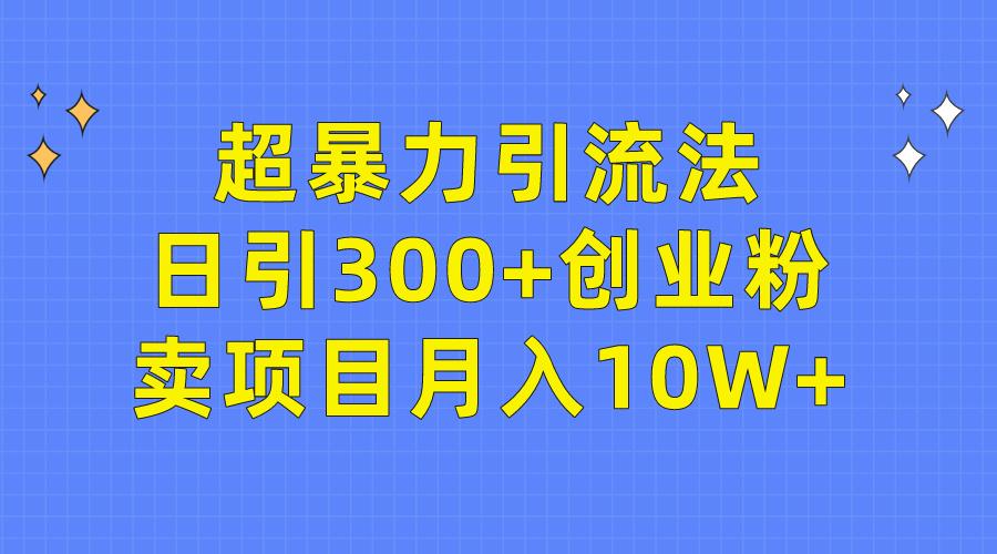 (9954期)超暴力引流法，日引300+创业粉，卖项目月入10W+-随风资源网