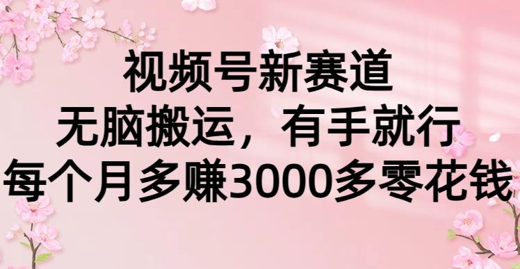 (9278期)视频号新赛道，无脑搬运，有手就行，每个月多赚3000多零花钱-随风资源网