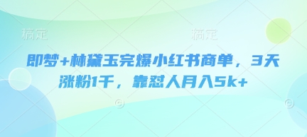 即梦+林黛玉完爆小红书商单，3天涨粉1千，靠怼人月入5k+-随风资源网