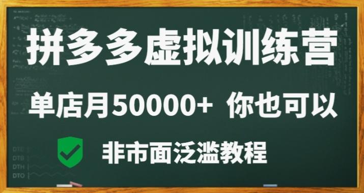拼多多虚拟电商训练营月入30000+你也行，暴利稳定长久，副业首选-随风资源网