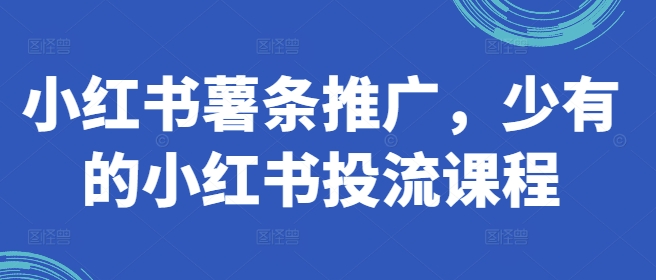 小红书薯条推广，少有的小红书投流课程-随风资源网