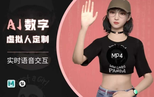 Ai数字人虚拟(智能体)实时语音交互特训营，​自行定制超写实角色AI数字人交互技术-随风资源网