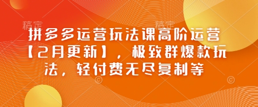 拼多多运营玩法课高阶运营【2月更新】，极致群爆款玩法，轻付费无尽复制等-随风资源网