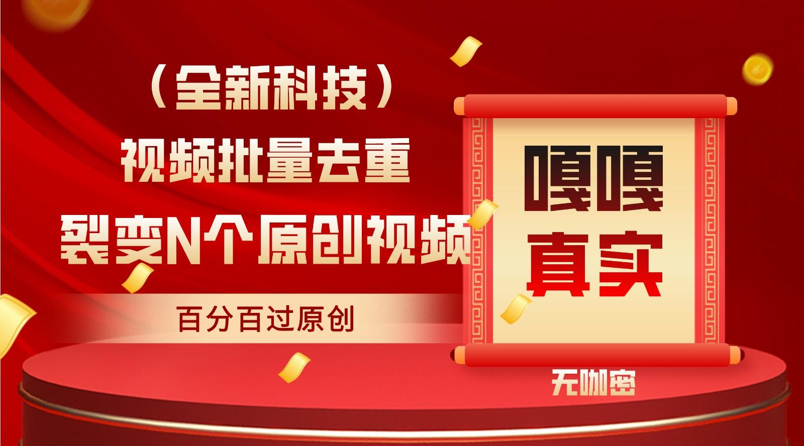 最新全自动去重技术，批量操作百分百过原创-随风资源网