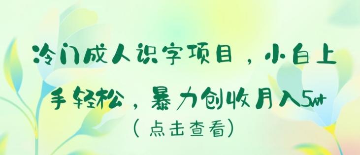 冷门成人识字项目，小白上手轻松，暴力创收月入5w+【揭秘】-随风资源网