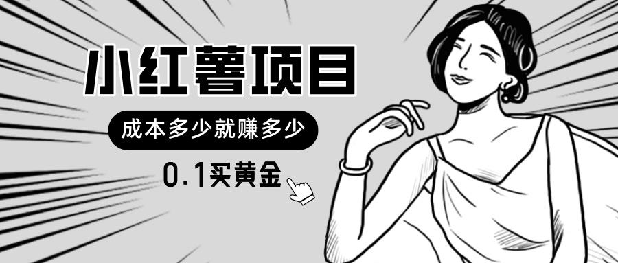 小红薯暴力项目，0.1买黄金。操作简单，日入无上限，可无限扩大。-随风资源网