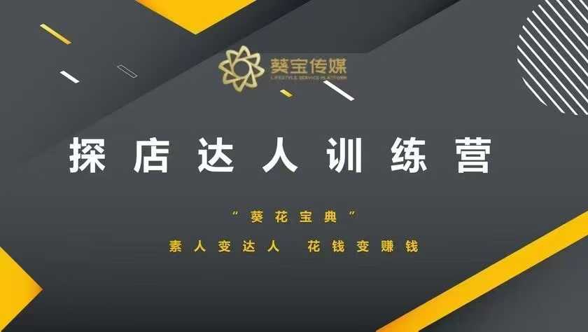 探店达人训练营，素人变达人，花钱变赚钱-随风资源网