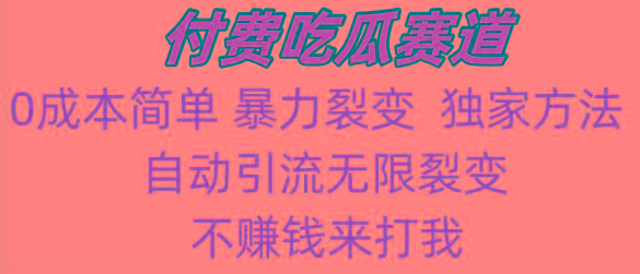 吃瓜付费赛道，暴力无限裂变，0成本，实测日入700+！！！-随风资源网