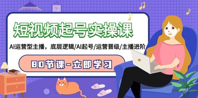 (9470期)短视频起号实操课，AI运营型主播，底层逻辑/AI起号/运营晋级/主播进阶/80节-随风资源网