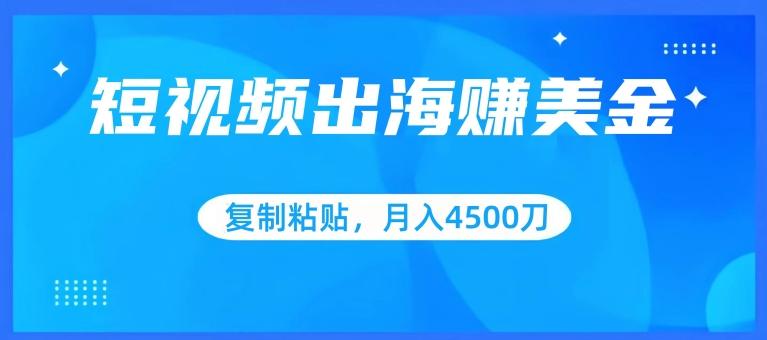 短视频出海赚美金，复制粘贴批量操作，小白轻松掌握，月入4500美刀【揭秘】-随风资源网