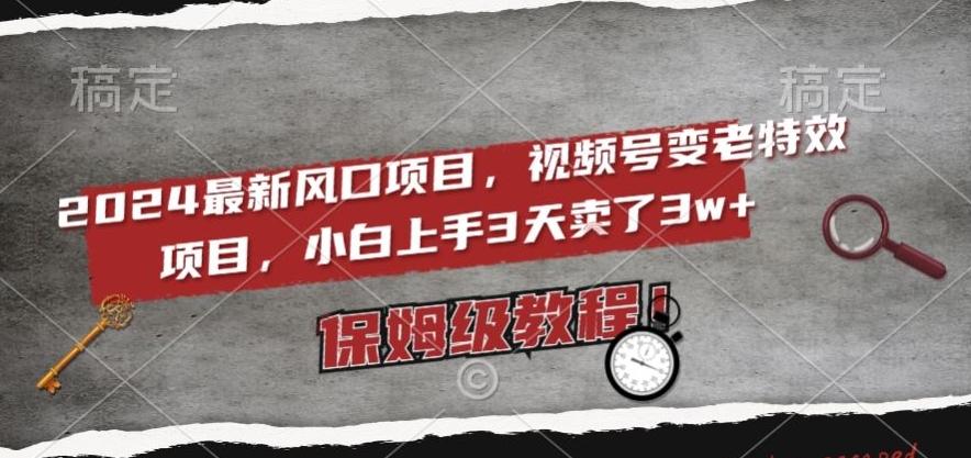 2024最新风口项目，视频号变老特效项目，电脑小白上手3天卖了3w+，保姆级教程【揭秘】-随风资源网