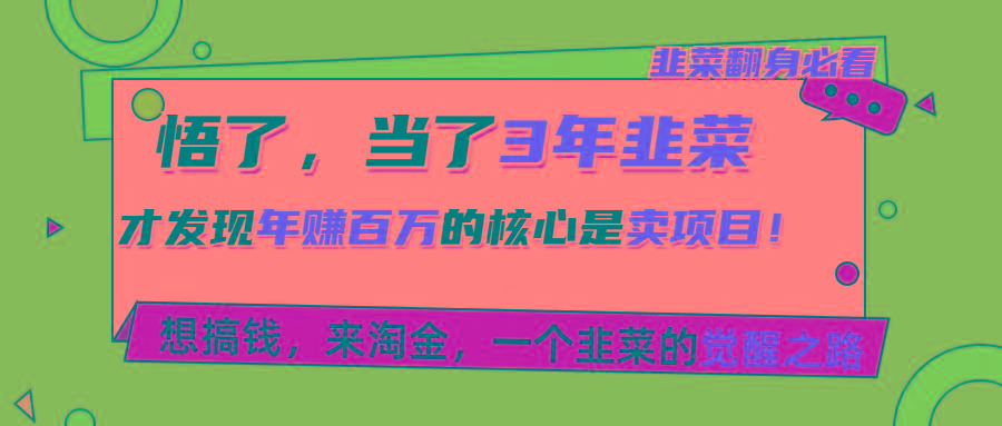 悟了，当了3年韭菜，才发现网赚圈年赚100万的核心是卖项目，含泪分享！-随风资源网