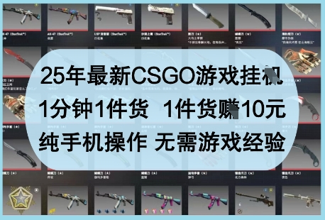 25年最新CSGO游戏挂G，1分钟1件货，1件货挣10元，纯手机操作，无需游戏经验【揭秘】-随风资源网