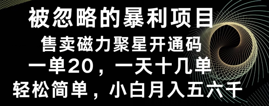 被忽略的暴利项目！售卖磁力聚星开通码，一单20，一天十几单，轻松月入五六千-随风资源网