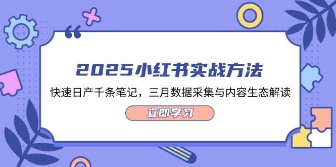 2025小红书实战方法，快速日产千条笔记，三月数据采集与内容生态解读-随风资源网