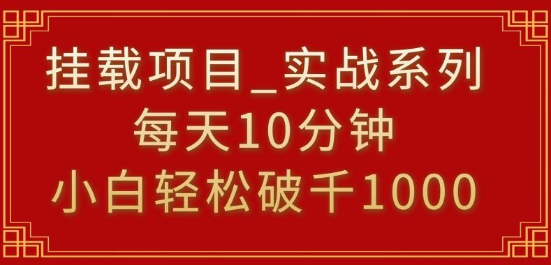 挂载项目，小白轻松破1000，每天10分钟，实战系列保姆级教程【揭秘】-随风资源网