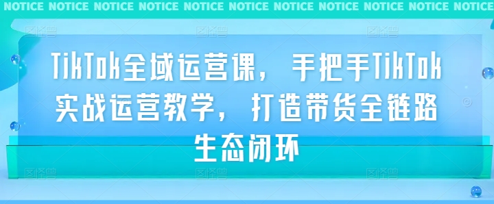 TikTok全域运营课，手把手TikTok实战运营教学，打造带货全链路生态闭环-随风资源网