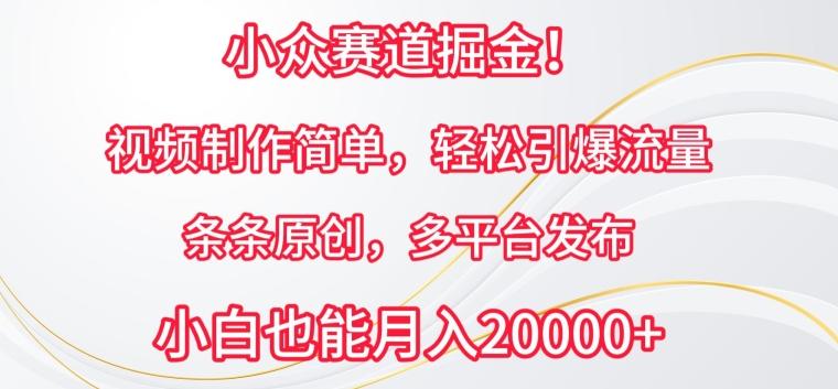 小众赛道掘金，视频制作简单，轻松引爆流量，条条原创，多平台发布【揭秘】-随风资源网