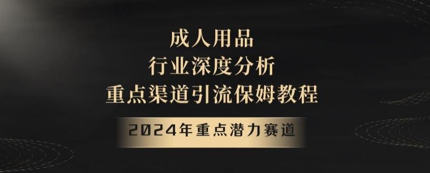 2024年重点潜力赛道，成人用品行业深度分析，重点渠道引流保姆教程【揭秘】-随风资源网