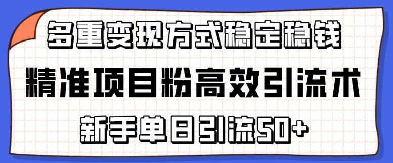 精准项目粉高效引流术，新手单日引流50+，多重变现方式稳定赚钱【揭秘】-随风资源网