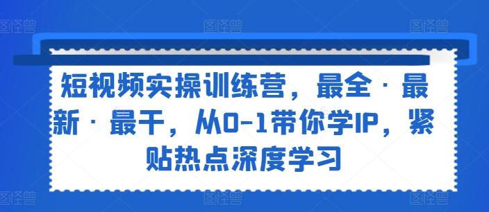 短视频实操训练营，最全·最新·最干，从0-1带你学IP，紧贴热点深度学习-随风资源网