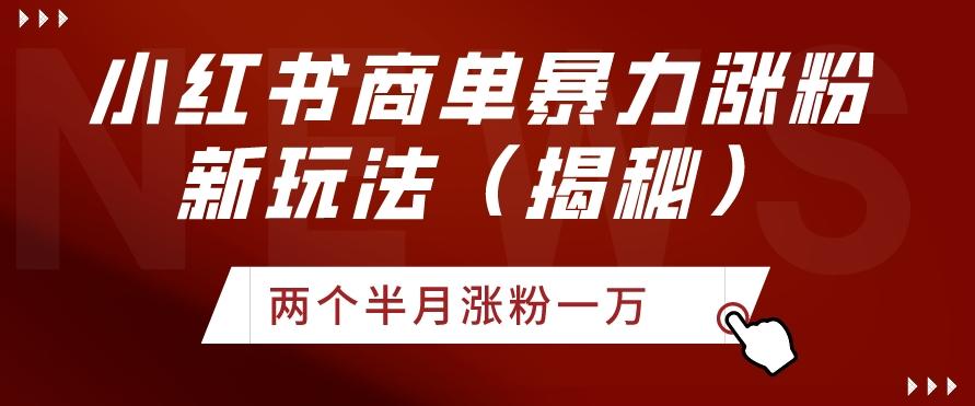 小红书商单暴力涨粉新玩法两个半月涨粉一万（揭秘）-随风资源网