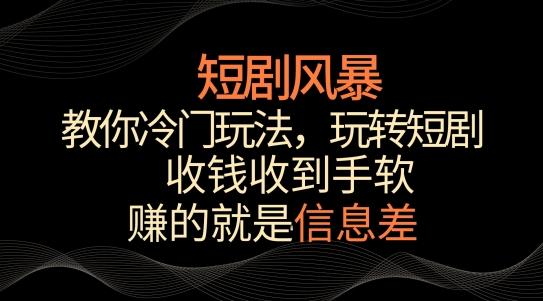 短剧风暴，教你冷门玩法，玩转短剧，收钱收到手软【揭秘】-随风资源网