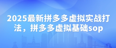 2025最新拼多多虚拟实战打法，拼多多虚拟基础sop-随风资源网