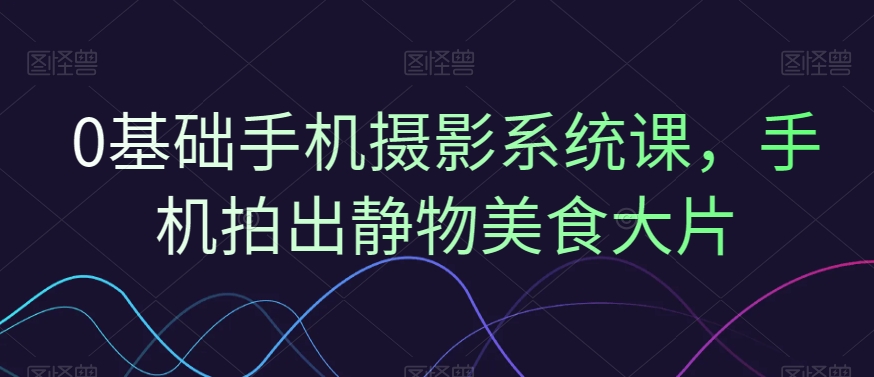 0基础手机摄影系统课，手机拍出静物美食大片-随风资源网