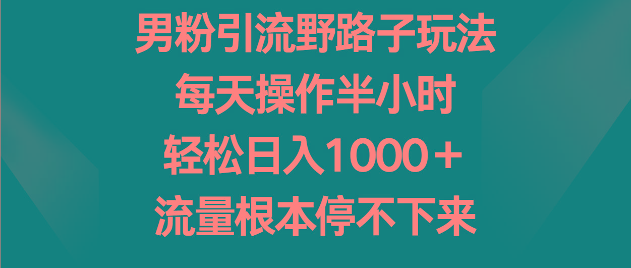 男粉引流野路子玩法，每天操作半小时轻松日入1000＋，流量根本停不下来-随风资源网