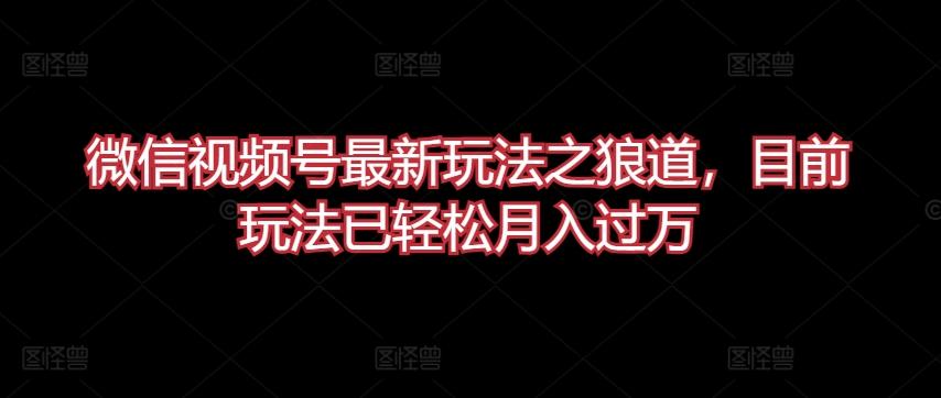 微信视频号最新玩法之狼道，目前玩法已轻松月入过万【揭秘】-随风资源网