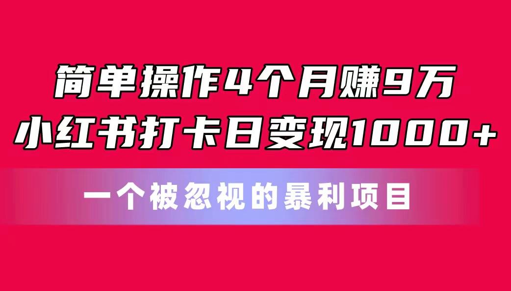 简单操作4个月赚9万！小红书打卡日变现1000+！一个被忽视的暴力项目-随风资源网