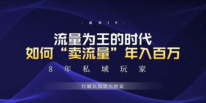 未来如何通过“卖流量”年入百万，跨越一切周期绝对蓝海项目-随风资源网