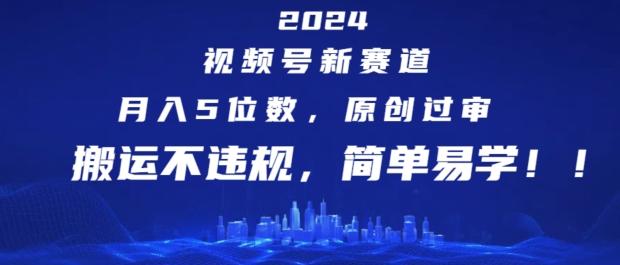 2024视频号新赛道，月入5位数+，原创过审，搬运不违规，简单易学【揭秘】-随风资源网