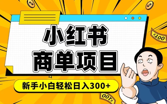 小红书千粉商单，稳定快速变现项目，实现月入6-8k并不是很难-随风资源网