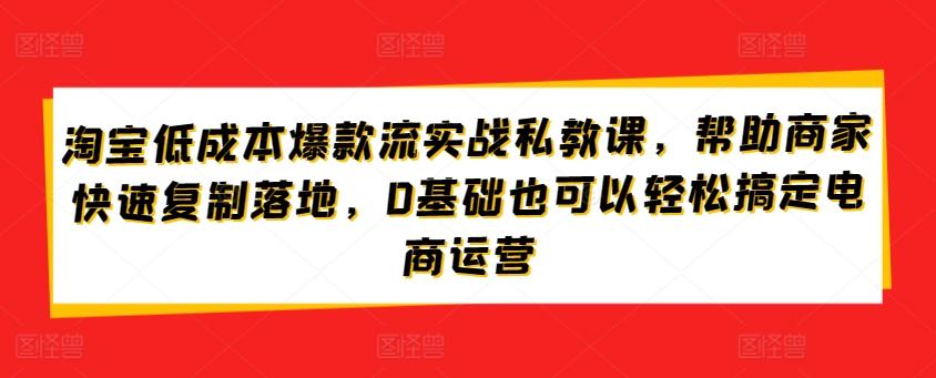 淘宝低成本爆款流实战私教课，帮助商家快速复制落地，0基础也可以轻松搞定电商运营-随风资源网