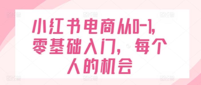 小红书电商从0-1，零基础入门，每个人的机会-随风资源网