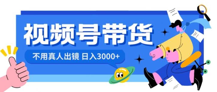 视频号带货，日入3000+，不用真人出镜-随风资源网