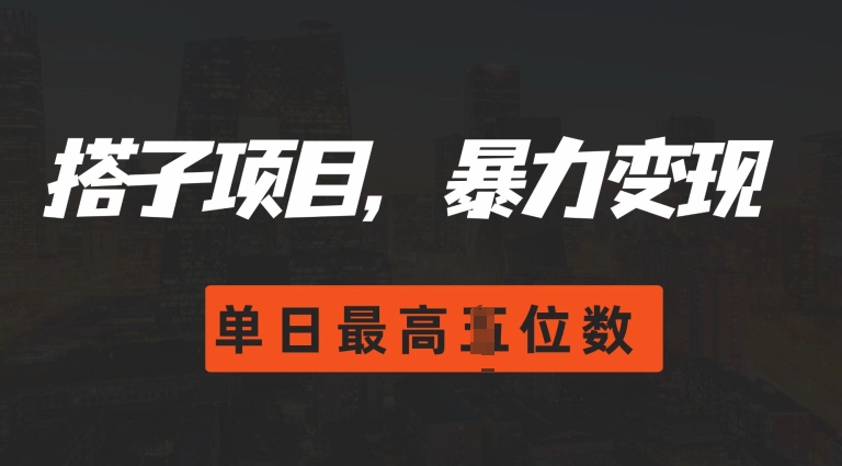 2024搭子玩法，0门槛，暴力变现，单日最高破四位数【揭秘】-随风资源网