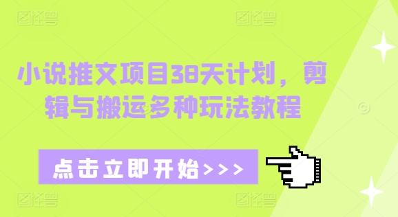 小说推文项目38天计划，剪辑与搬运多种玩法教程-随风资源网
