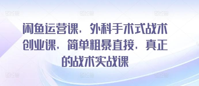 闲鱼运营课，外科手术式战术创业课，简单粗暴直接，真正的战术实战课-随风资源网