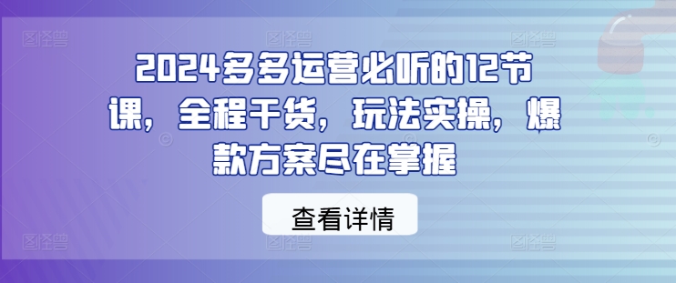 2024多多运营必听的12节课，全程干货，玩法实操，爆款方案尽在掌握-随风资源网