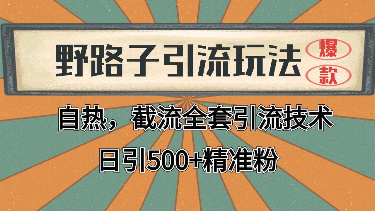 抖音小红书视频号全平台引流打法，全自动引流日引2000+精准客户-随风资源网
