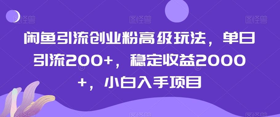 闲鱼引流创业粉高级玩法，单日引流200+，稳定收益2000+，小白入手项目-随风资源网