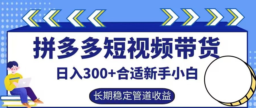 拼多多短视频带货日入300+有长期稳定被动收益，合适新手小白【揭秘】-随风资源网