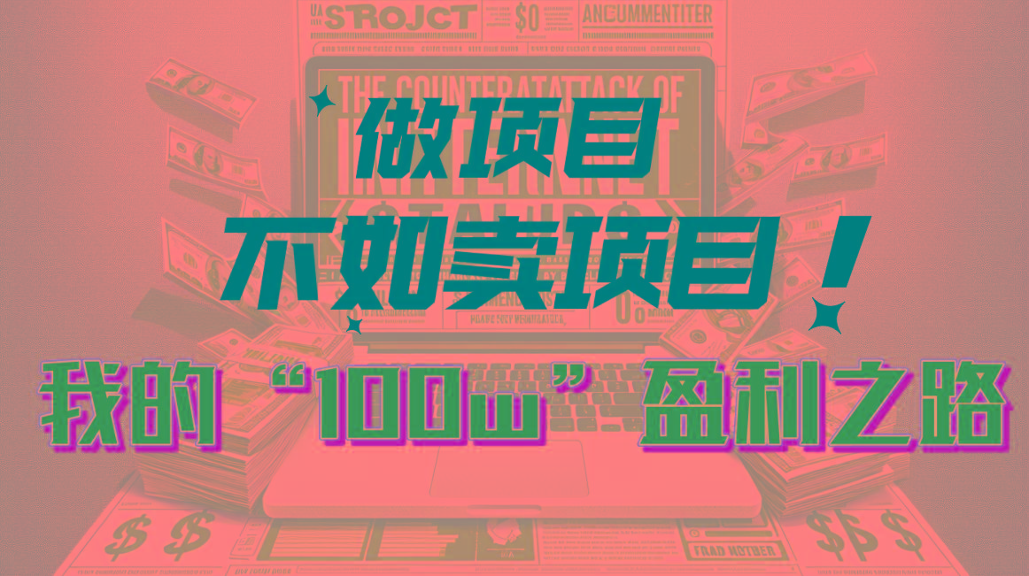 为什么做项目不如卖项目？我的100W+盈利之路-随风资源网