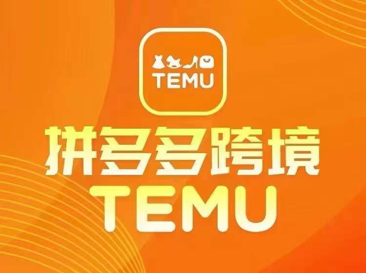 最新TEMU拼多多跨境教程，开店、运营、选品-随风资源网