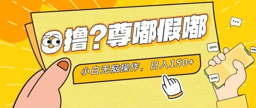 最新项目 暴力0撸 小白无脑操作 无限放大 支持矩阵 单机日入280+-随风资源网